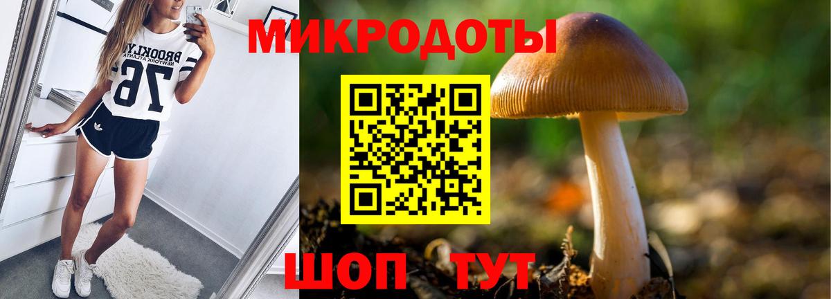 Псилоцибиновые грибы GOLDEN TEACHER Реутов