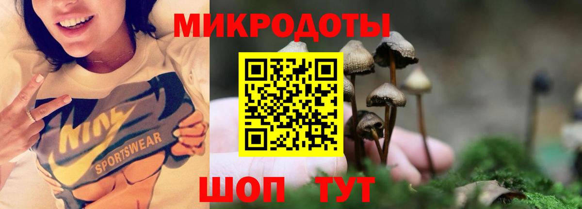 Реутов  Псилоцибиновые грибы мицелий  Вход с VPN 
